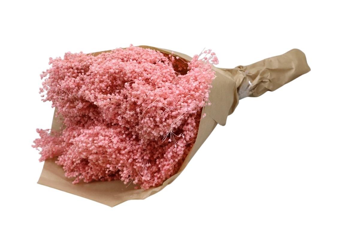 Broom Blooms zartrosa 150gr. Broom Blooms zartrosa 150gr.