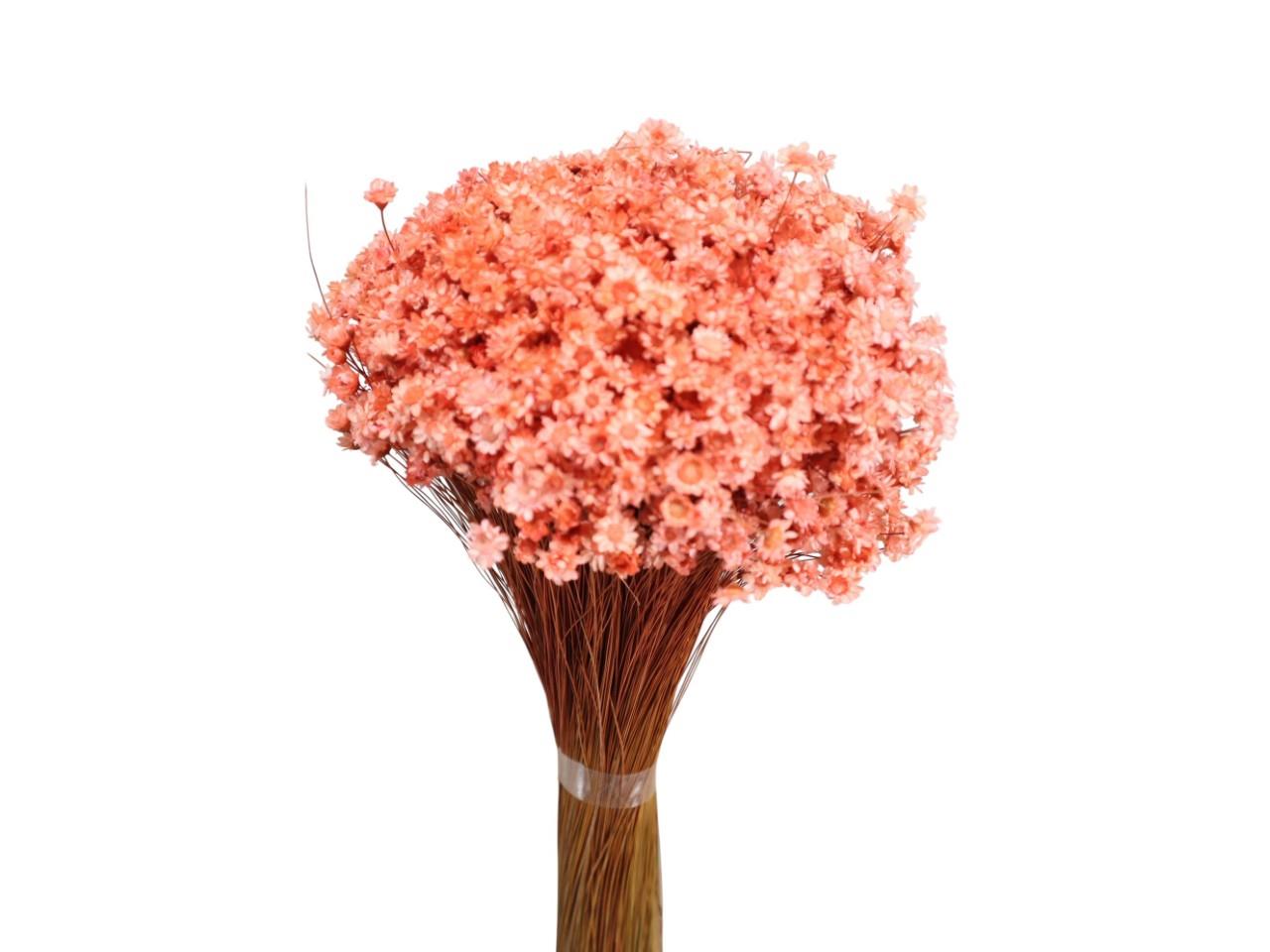 Glixia pfirsich 100gr.