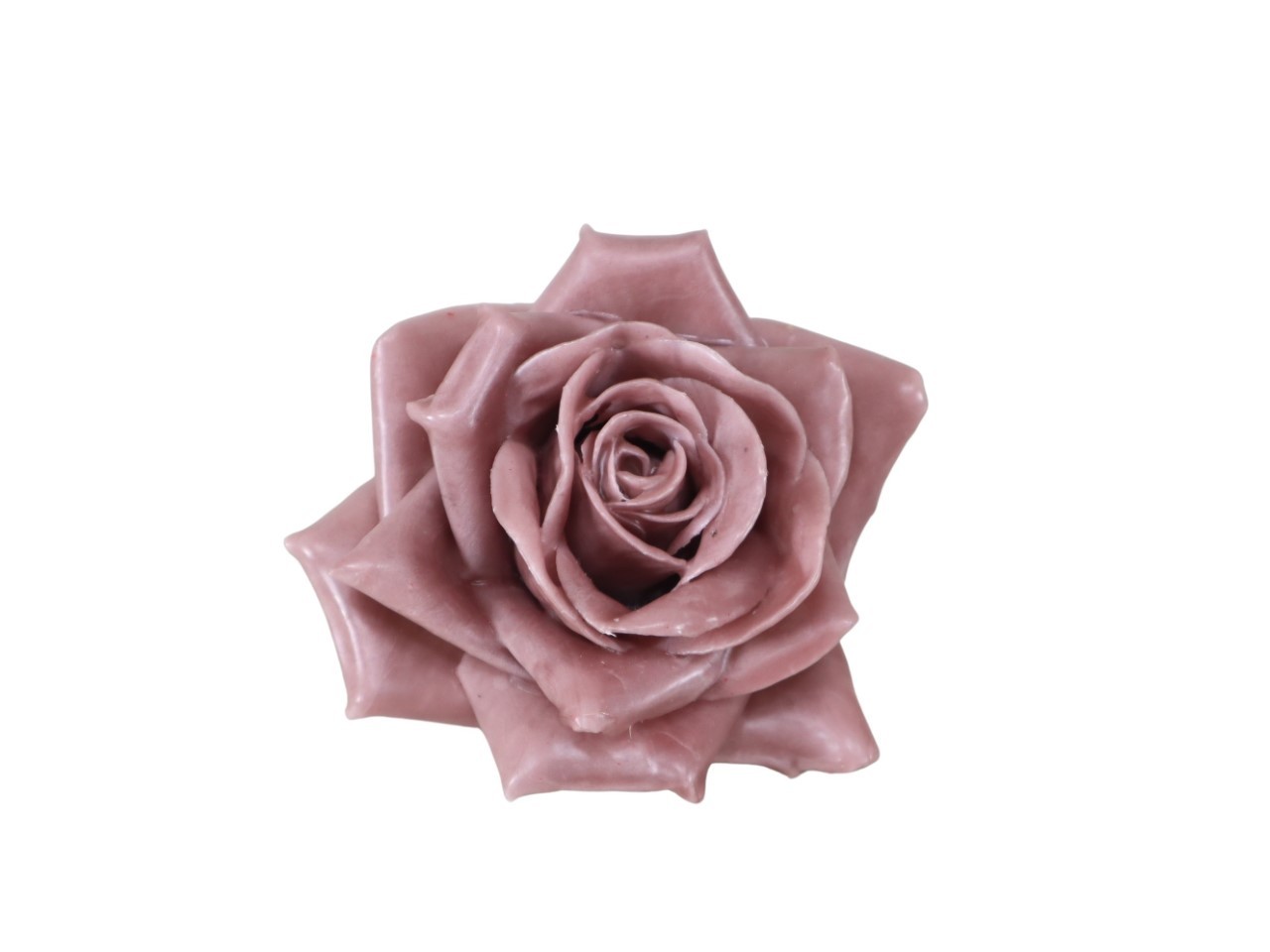 Rosenblüte Wachs 11cm mauve in Holzbox