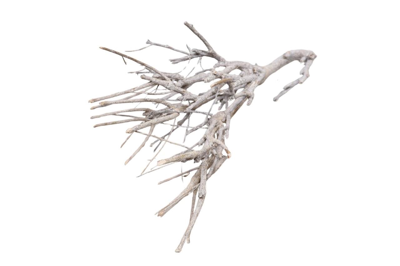 Kleiner Busch ca. L22-25cm 1,5kg white washed