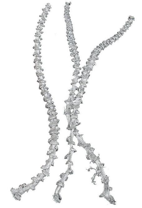 Bananenstiel L55cm white washed