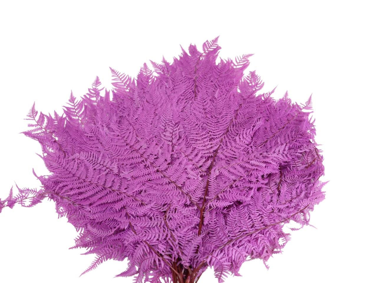 Bracken Farn freesie 66/P