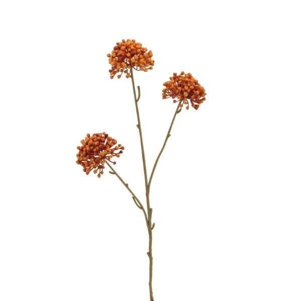 Allium x 3 Blüten,  60cm orange