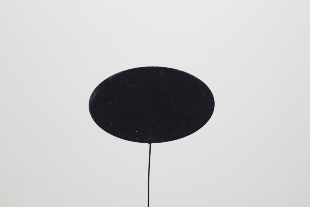 Stecker Tafel oval Holz schwarz D7,5cm+ Drahtpin