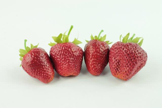 Erdbeeren 3,5+4 cm Plastik und Stoff rot