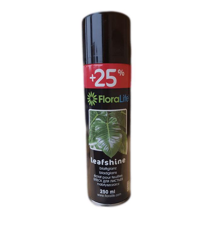 FLORALIFE Blattglanz 250ml Dose NETTO FLORALIFE Blattglanz 250ml Dose NETTO