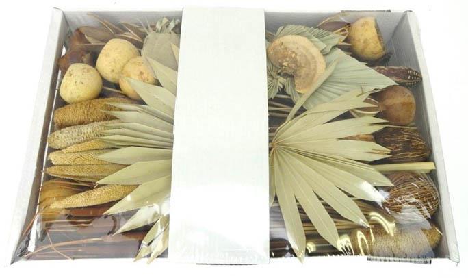 Exotensortiment indisch natur groß 100 Stück