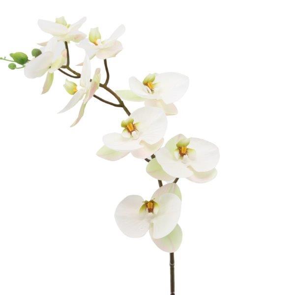 Phalaenopsis/Orchideenrispe H89cm creme
