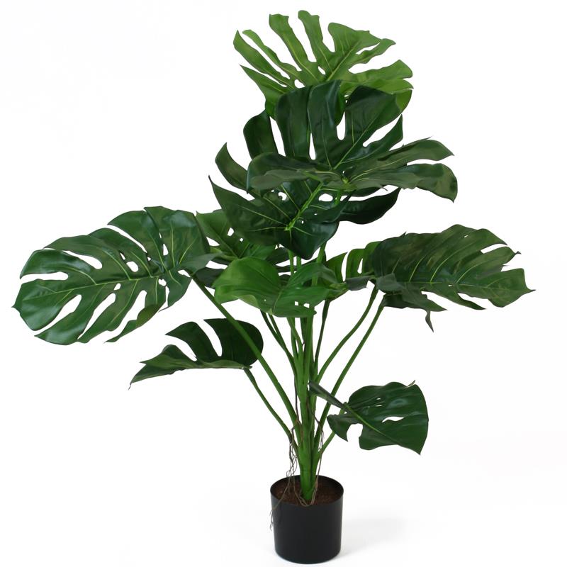 Split-Philo i. Topf 100 cm grün