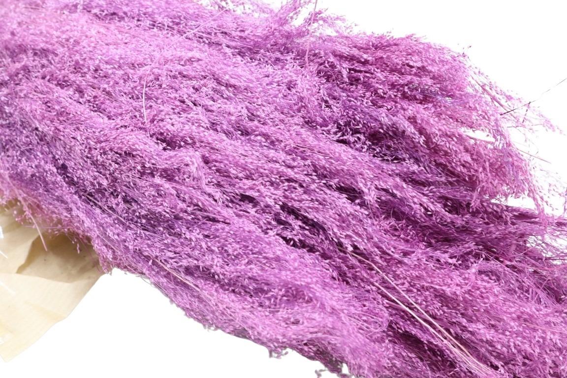 Agrostis brombeer 100gr. Agrostis brombeer 100gr.