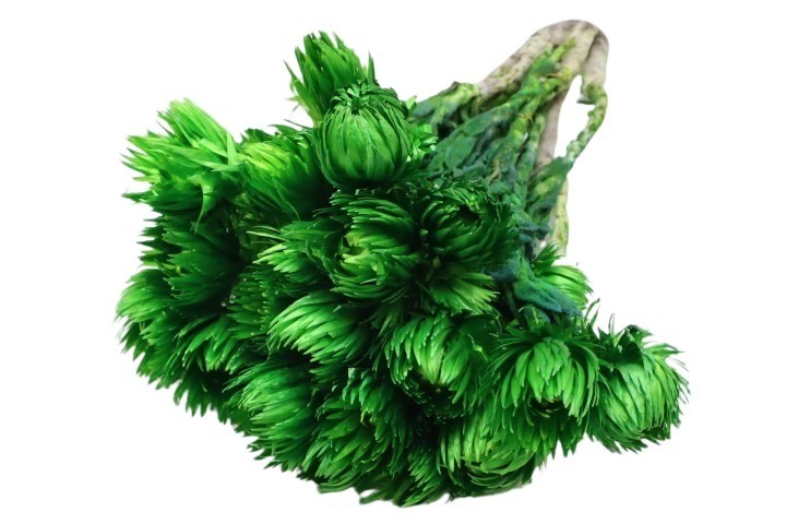 Capblumen grün L30-40cm Bund 50gr.