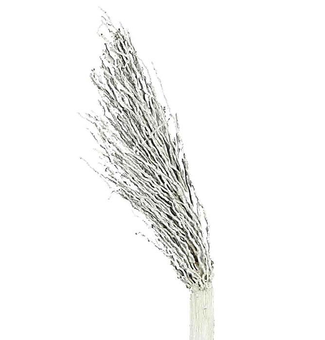 Jhat Zweig white washed Jhat Zweig white washed
