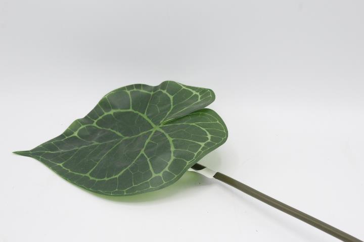 Marantablatt 22x18cm grün