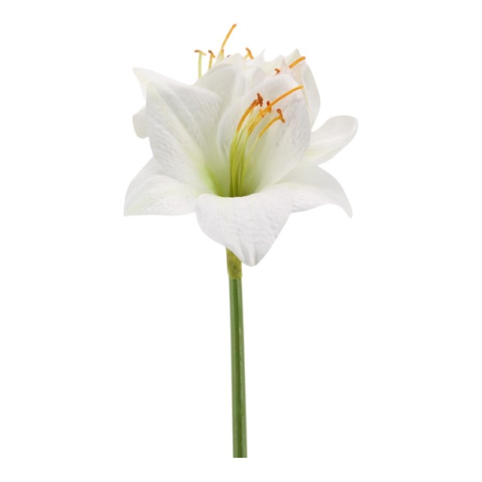 Amaryllis weiß-grün H53cm Amaryllis weiß-grün H53cm
