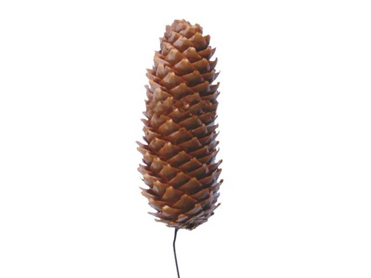 Zapfen Fichte gewachst u. gedrahtet Drahtstiel 20-22cm