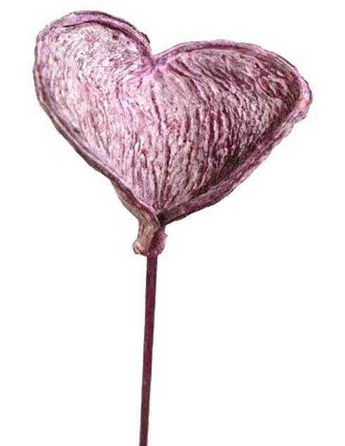 Badam gestielt D8-10H7-9L40cm brombeer frosted