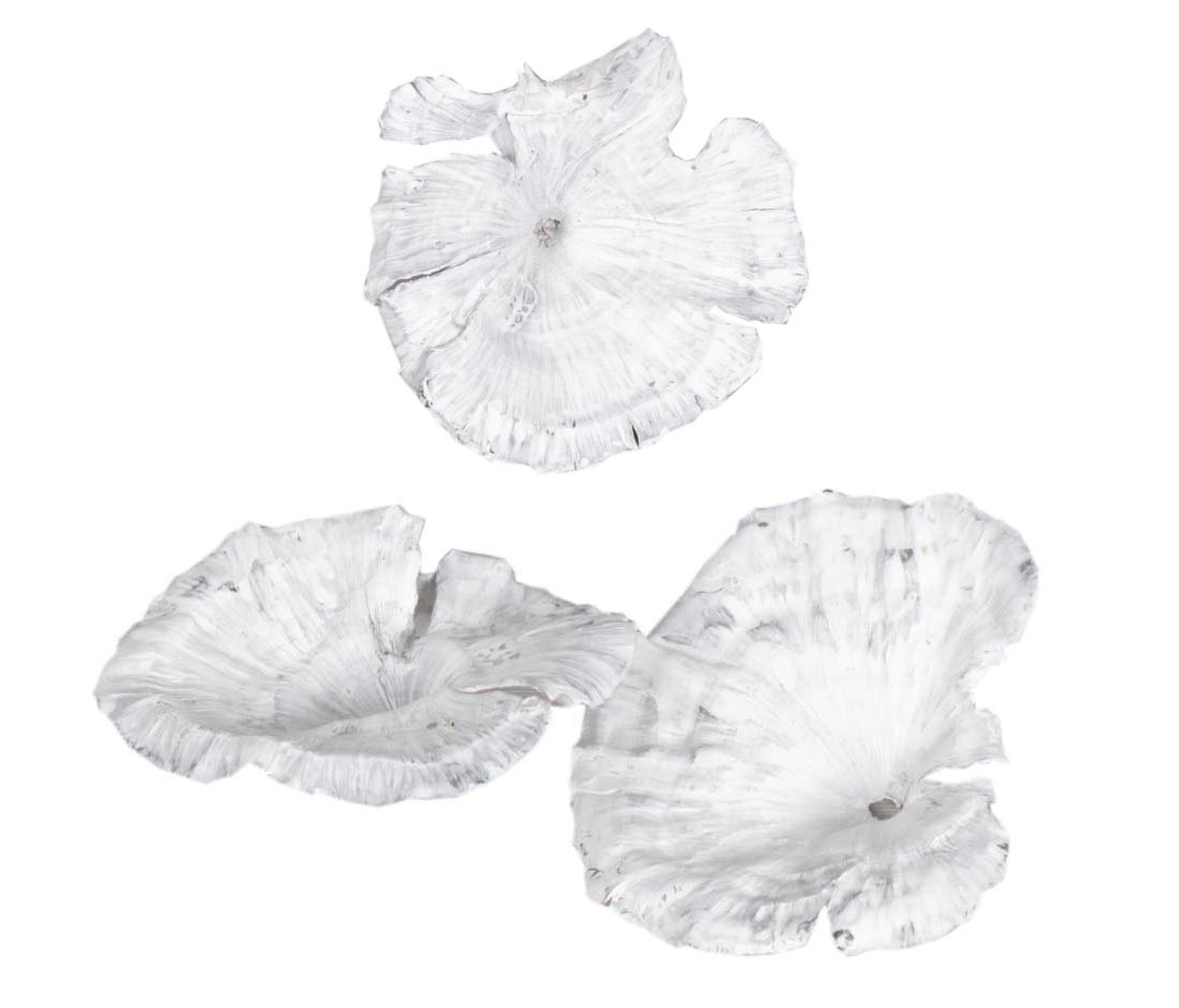 Kalyx groß D7-12cm white washed