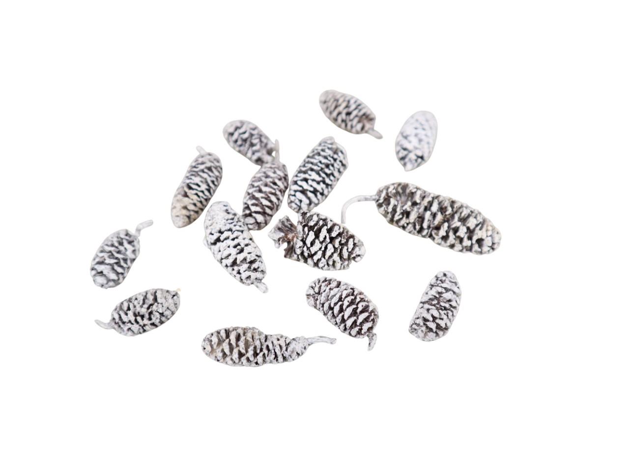 Zapfen Birke L3-4cm whitewashed 1kg