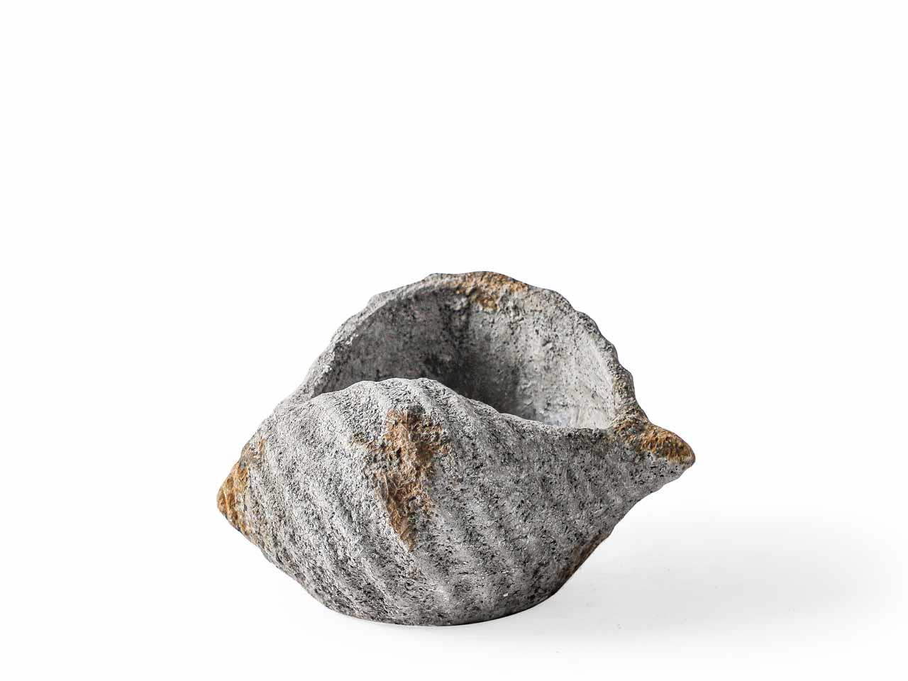 Pflanztopf Muschel Zement antik grau L22,5xH13,5cm