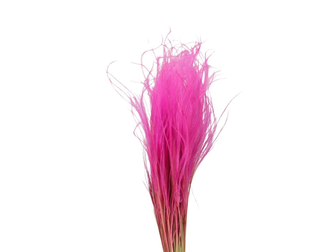 Stypa Pennata mit Stroh cyclame 06 50gr.