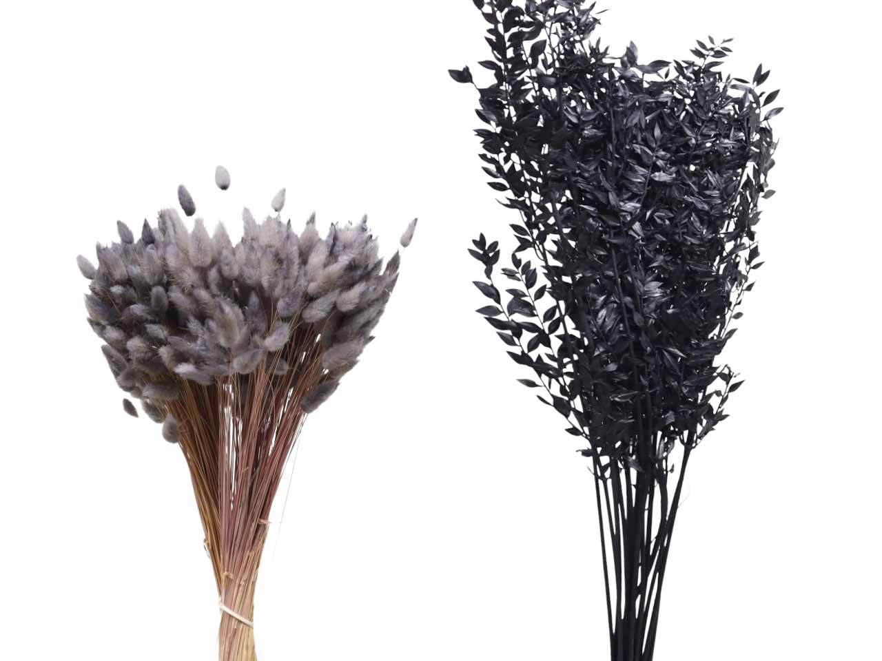Trockenblumen
