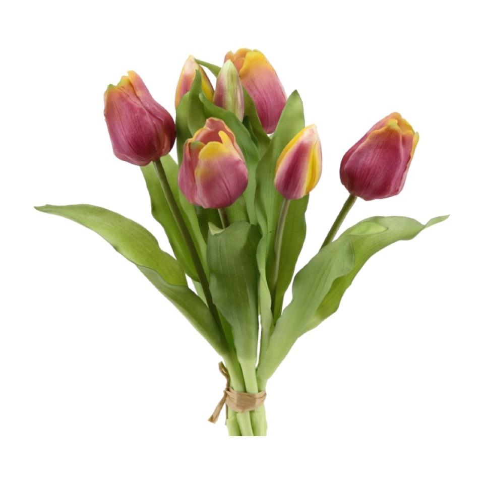 Tulpenbund 7 Blüten soft touch purple-gelb H30cm