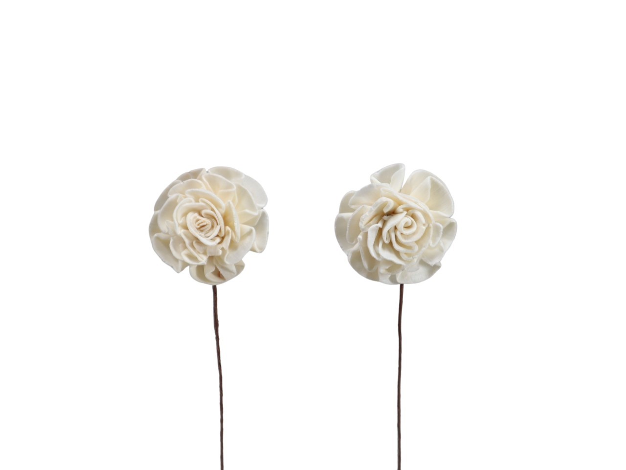 Rose Ming 4cm weiß gestielt am Draht