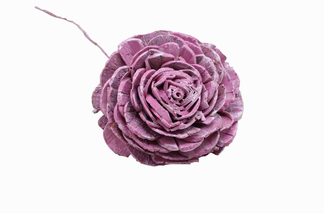 Rose Sola am Draht 10cm brombeer