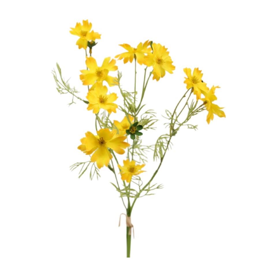 Cosmea-Bund 4fach gelb H51cm Cosmea-Bund 4fach gelb H51cm