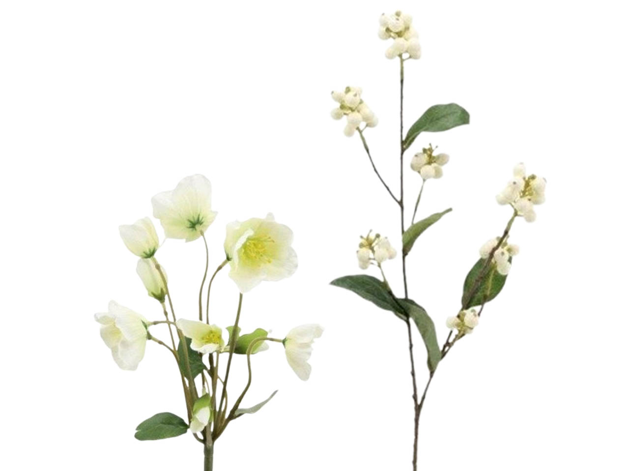 Christrosen & Beeren