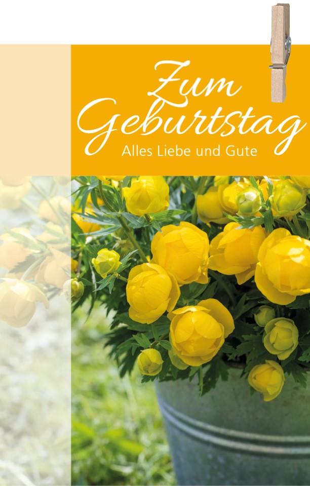 Minikarten Daily Zum Geburtstag 7,5x5 cm Minikarten Daily Zum Geburtstag 7,5x5 cm