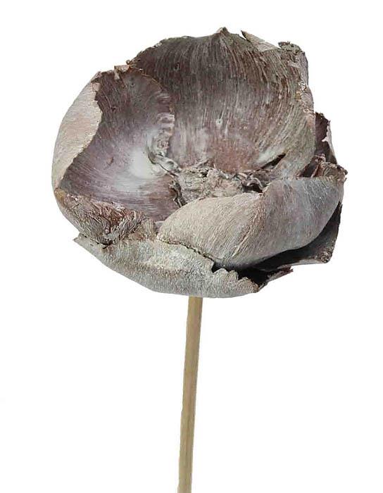 Palmblüte gestielt D6-8H4-5L40cm white washed