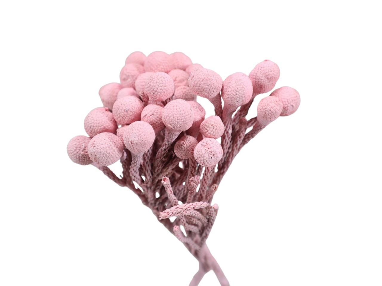 Brunia extra B5 L40cm altrosa frosted