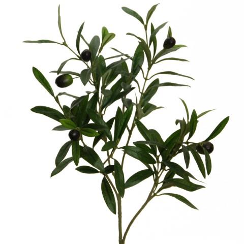 Olivenzweig 54 cm grün