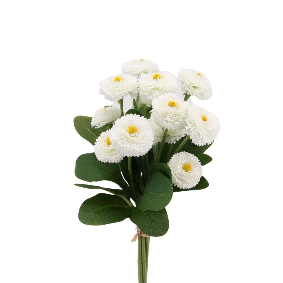 Bellisbund x 7,  33 cm weiss