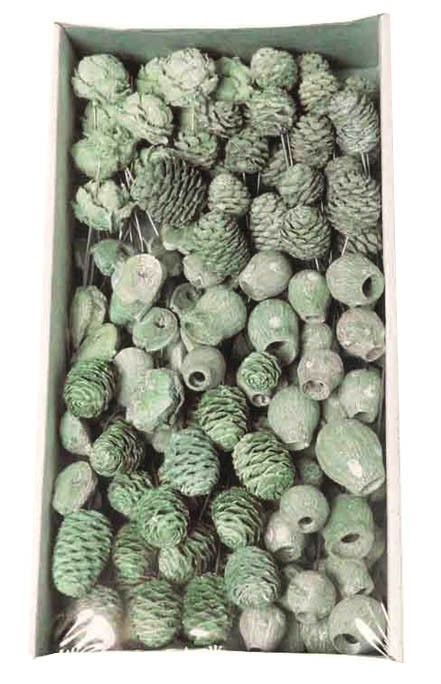 Leucodendron Sortiment am Draht kiwi-grün frosted