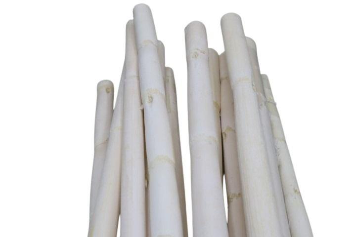 Canna Stiele 1Meter weiß M