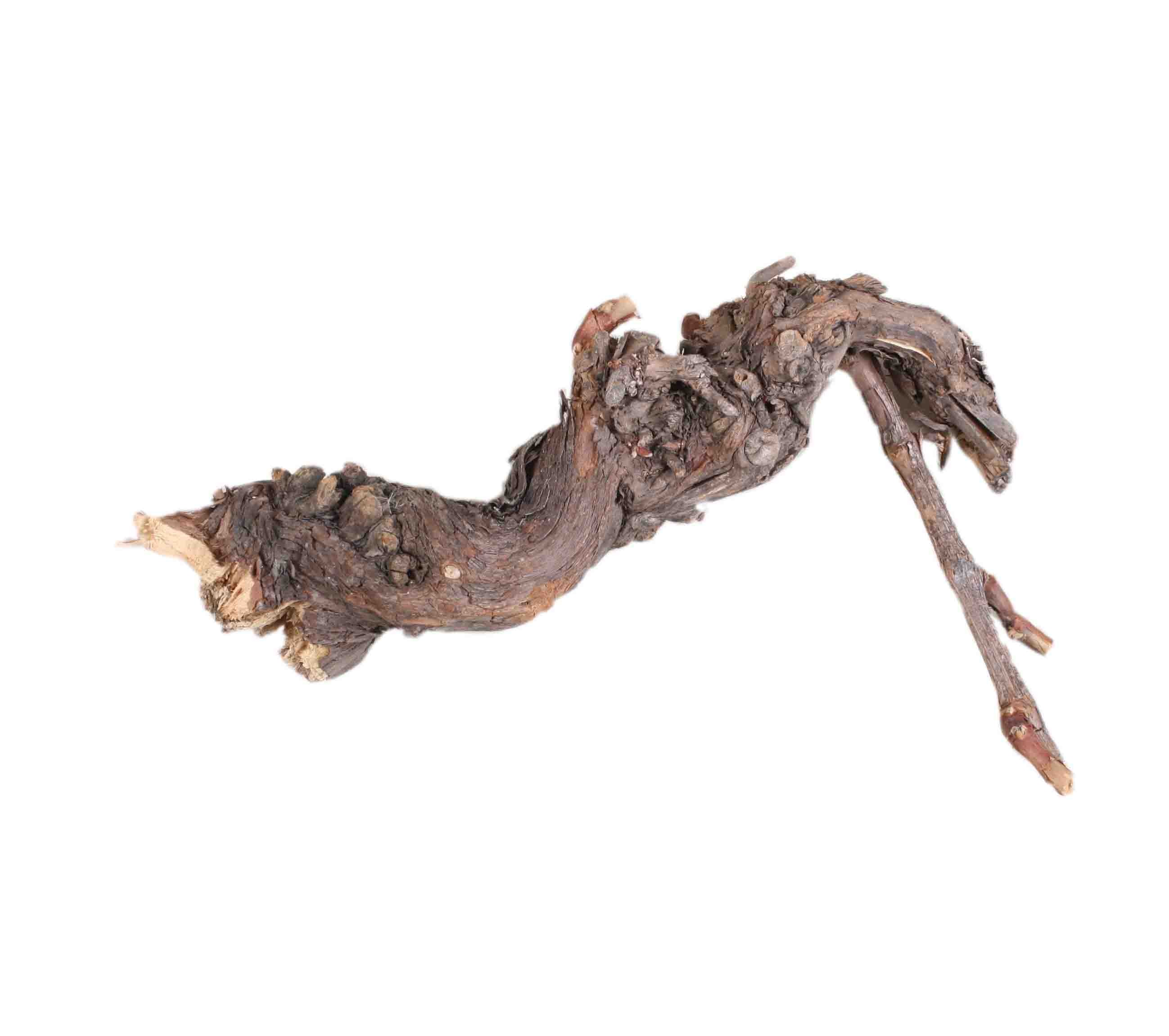 Weinrebenwurzel D3-6L25-35cm natur