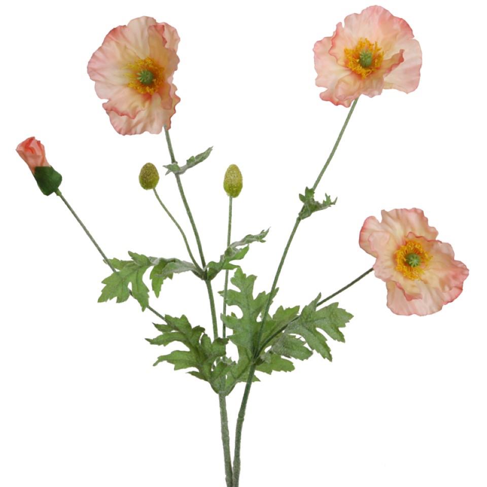 Mohnblume 3 Blüten + 3 Knospen salmon 69cm