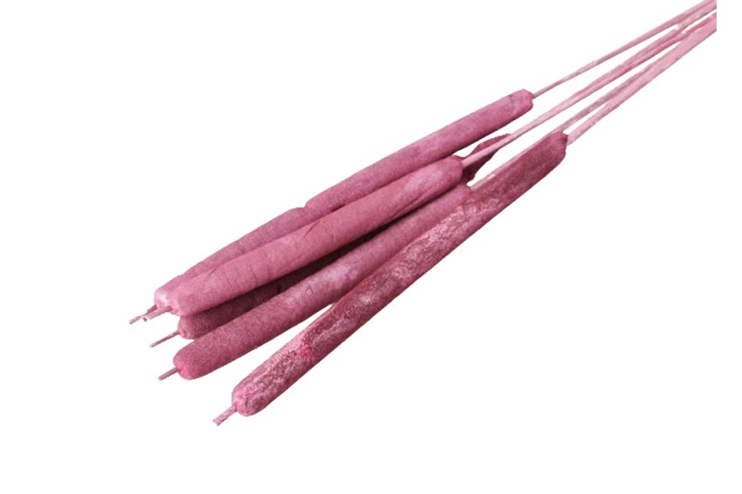 Schilfkolben geraspelt extra erika