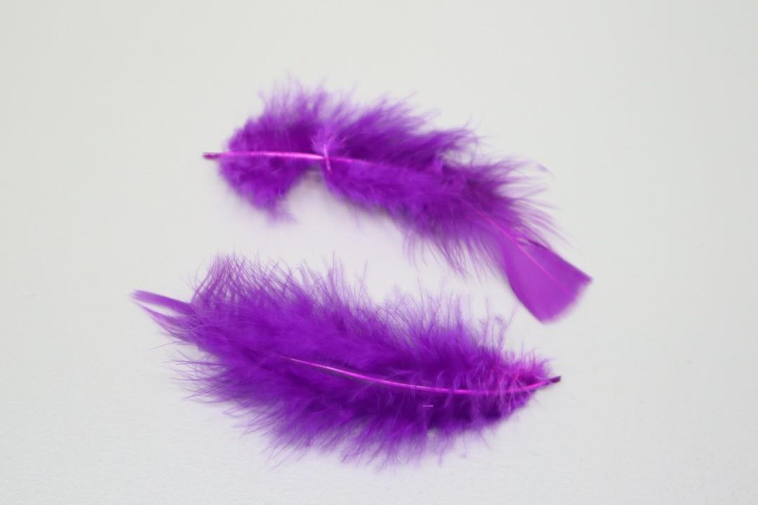 Federn 20 gr. violett