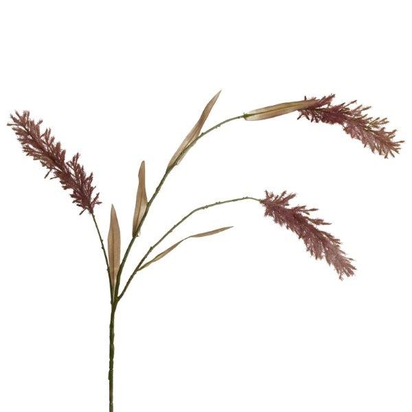 Pampasgras 124cm burgund
