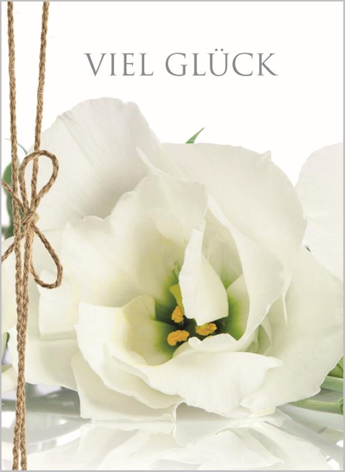 Minikarten Viel Glück 7,5x5 cm Minikarten Viel Glück 7,5x5 cm
