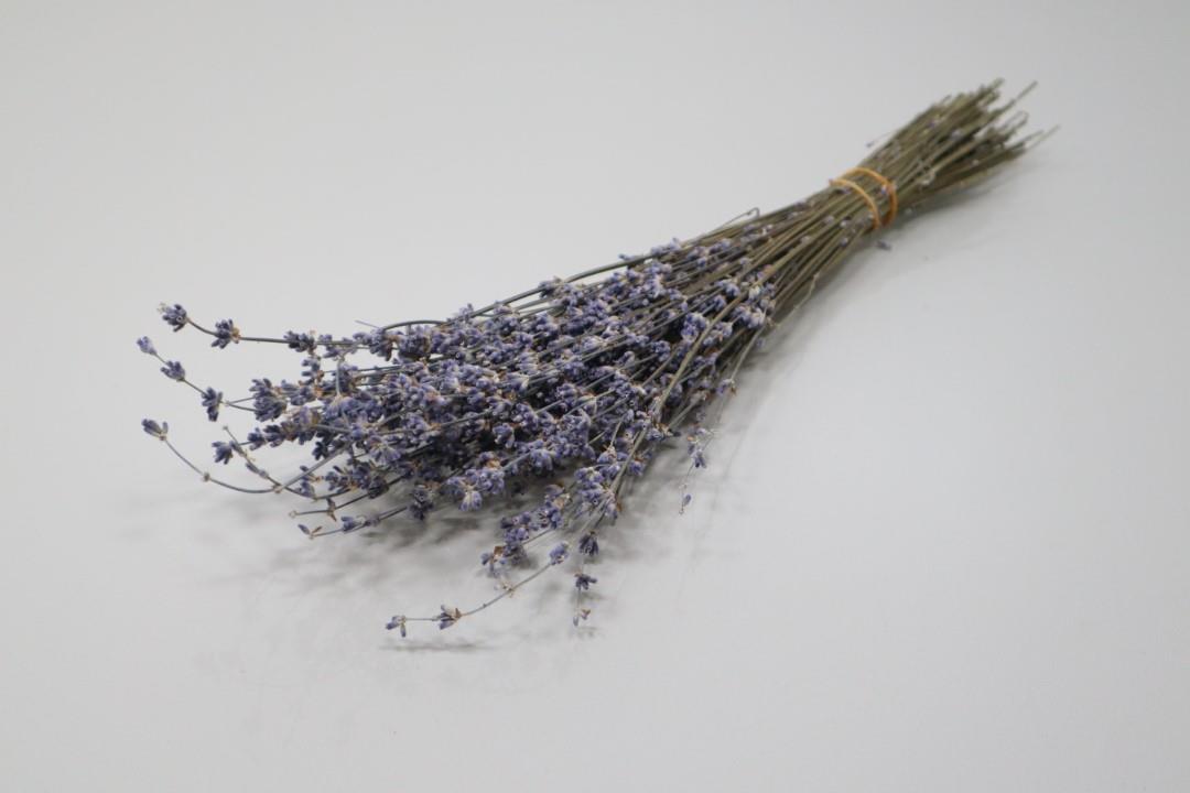 Lavendel getrocknet natur-blau 30-35gr.