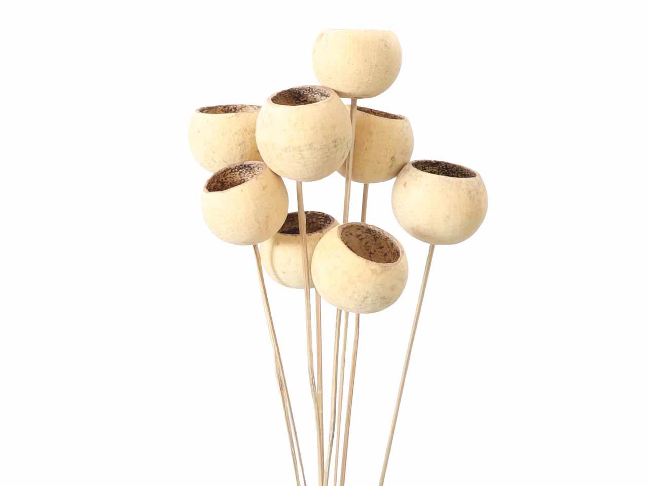 Bell Cup gestielt D7L55cm natur