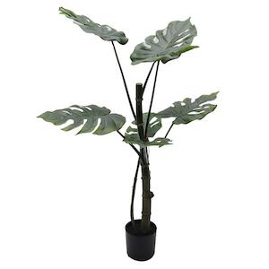 Topfpflanze Split-Philo H96cm grün