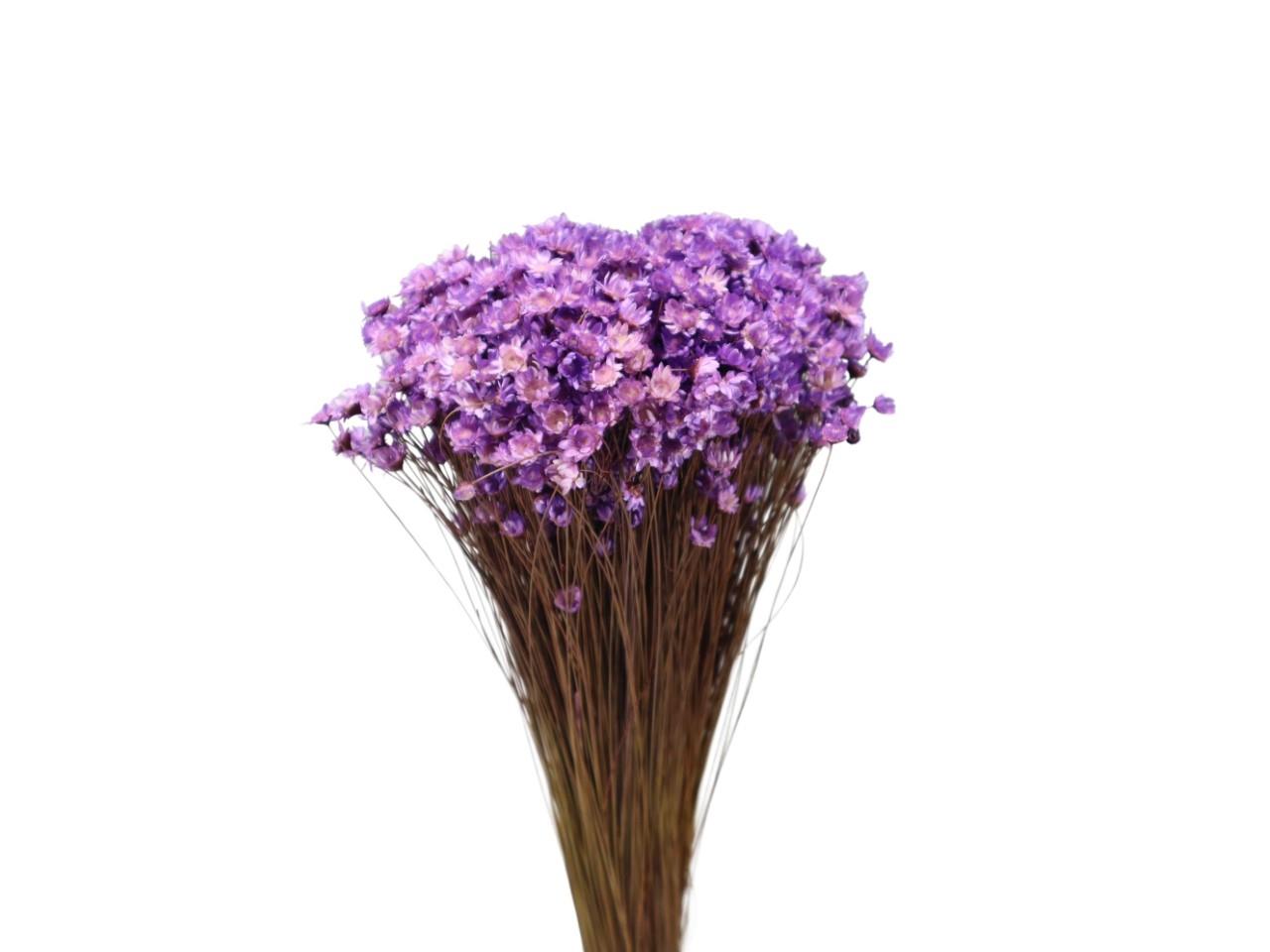 Glixia amethyst 118 100gr.