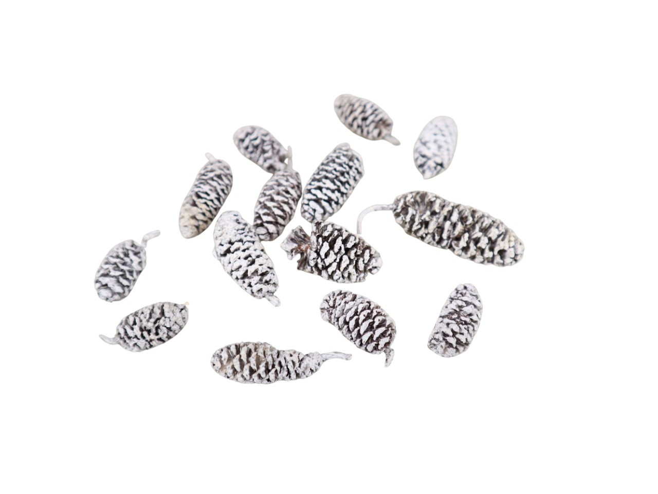 Zapfen Birke L3-4cm whitewashed 1kg