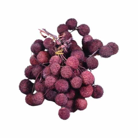 Plantanen Frucht D2,5cm 250gr. brombeer