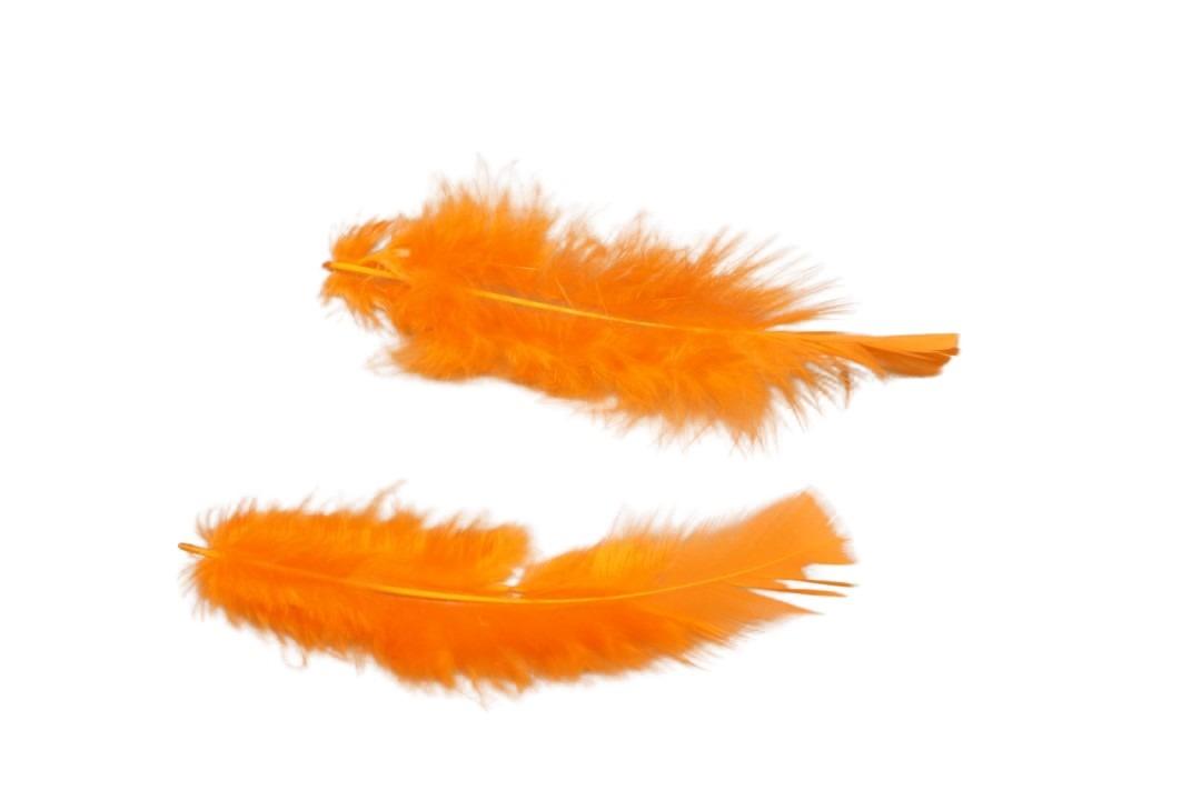 Federn 20 gr. orange Federn 20 gr. orange